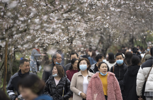 截屏2021-03-29 下午8.40.35.png